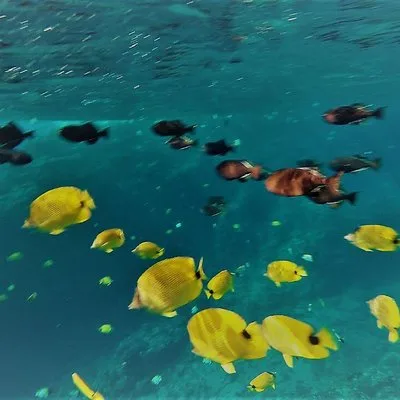 Molokini Crater