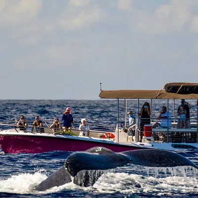 Pacific Whale Foundation