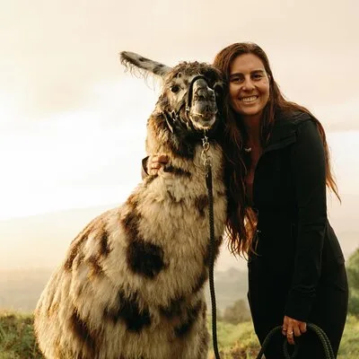 Llama Sunset Hike